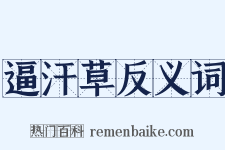 逼汗草反义词是什么意思的图片